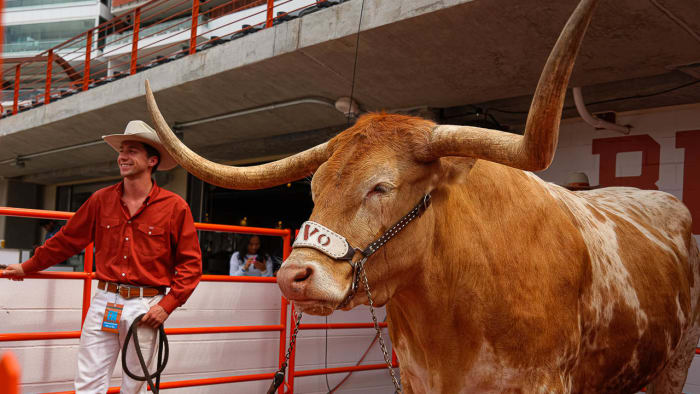 Bevo-Spring Game